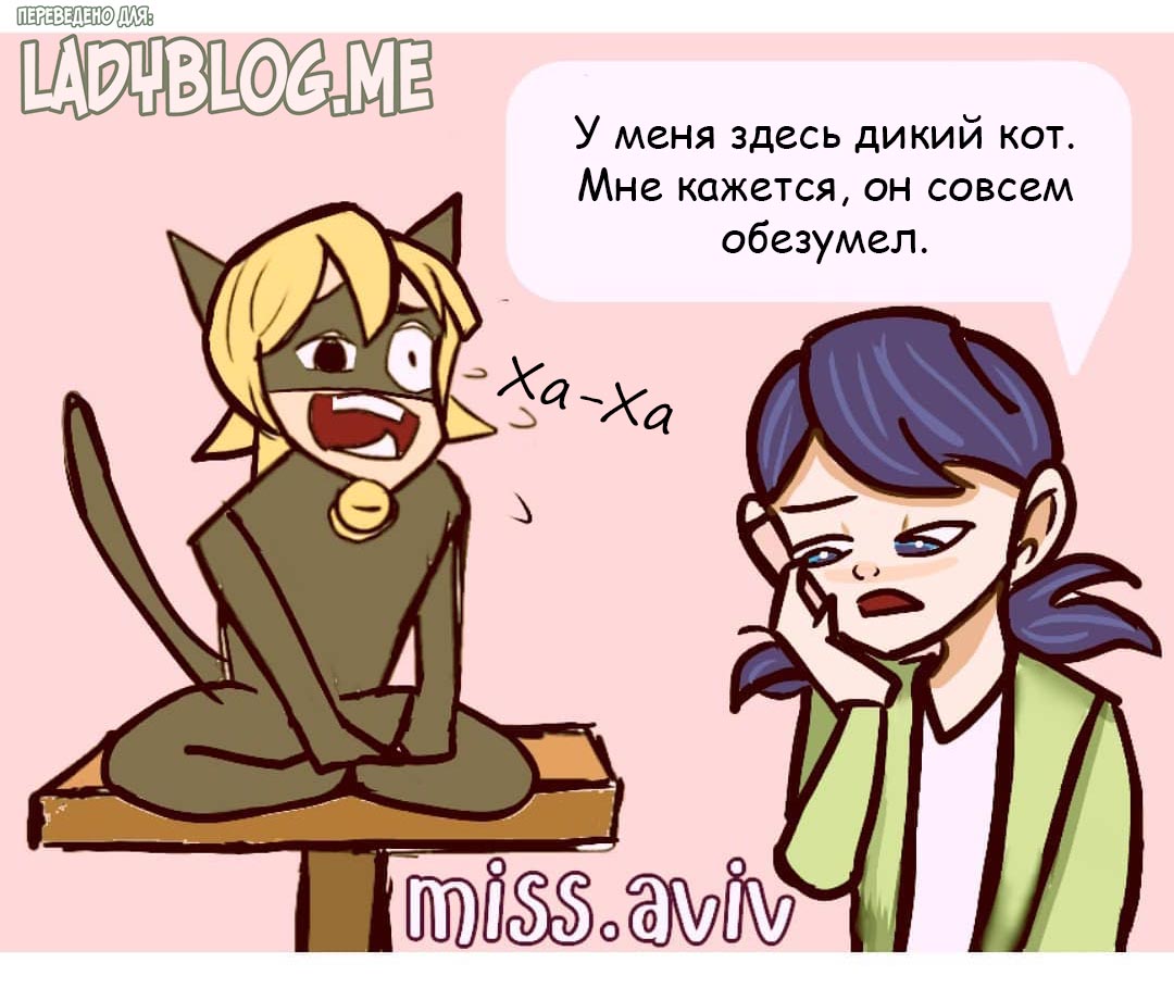 Комикс Дикий Кот 1-2
