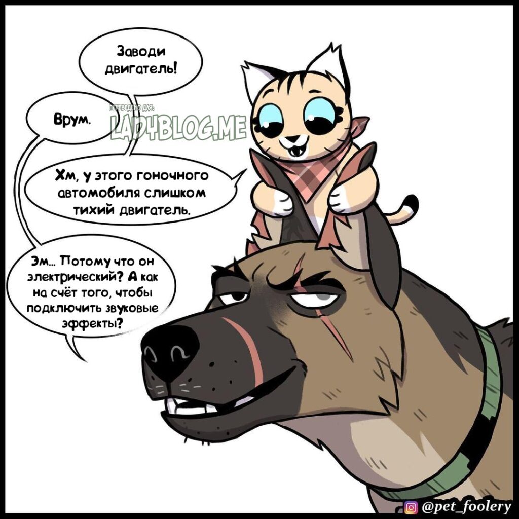 Комикс Гонки / Пикси и Брут - ЛедиБлог